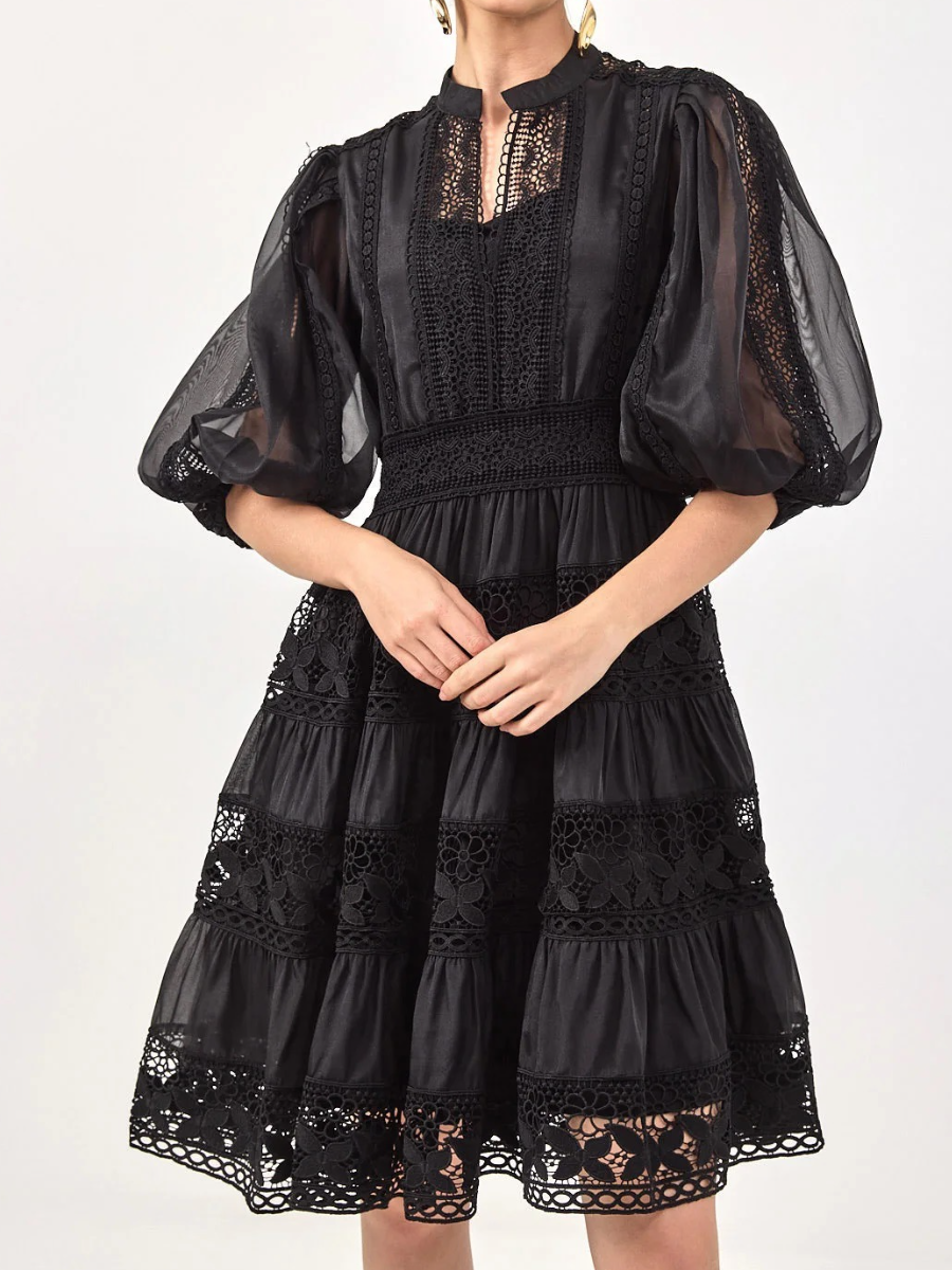 Elegant Lantern Sleeve Holiday Lace Dress