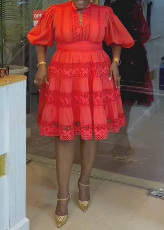 Elegant Lantern Sleeve Holiday Lace Dress
